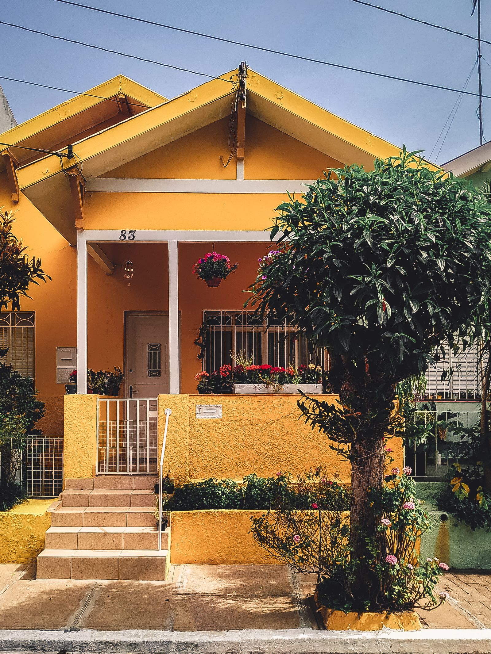 A freshly painted yellow house with crisp white trim